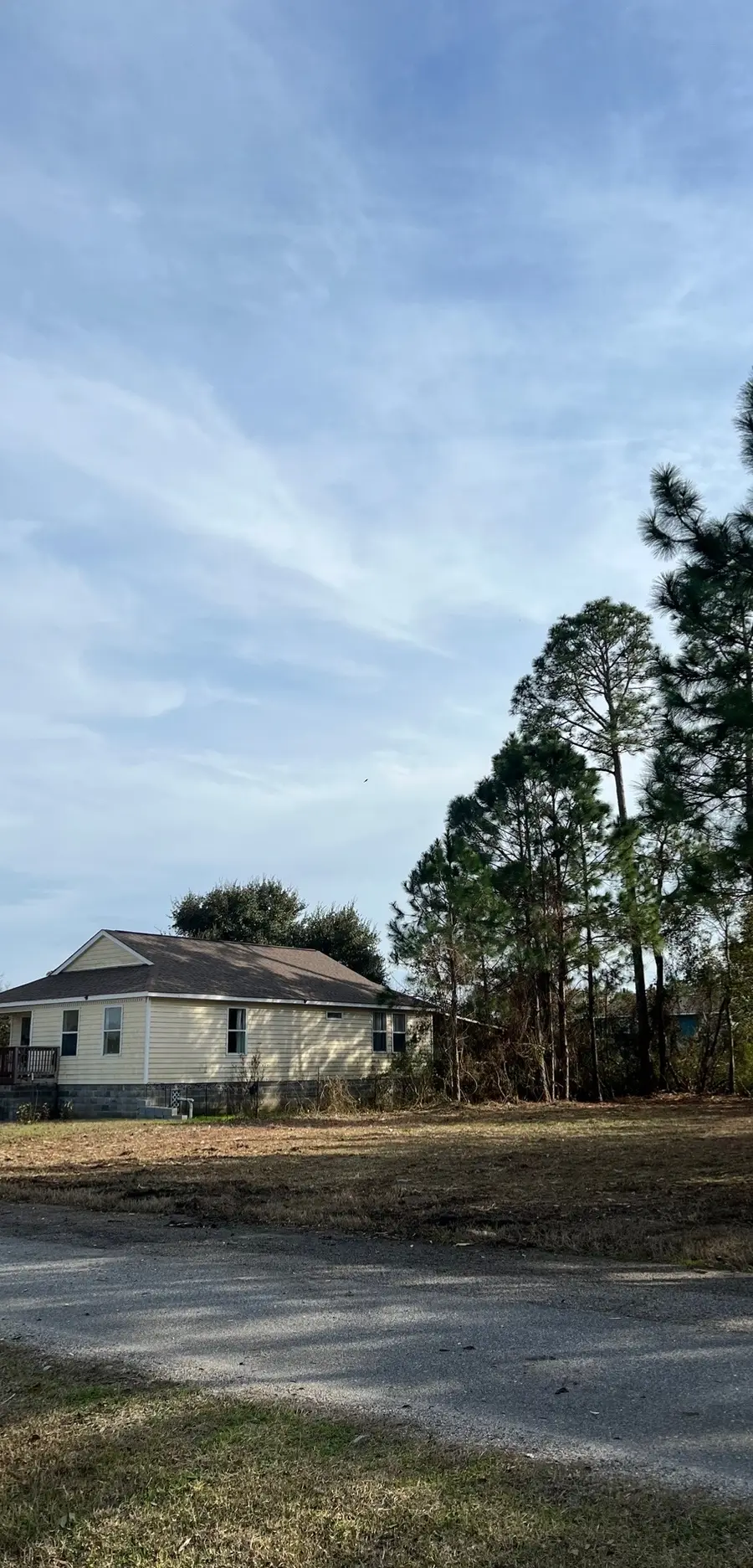 Roadside frontage cleared and opened for access in Northwest Florida