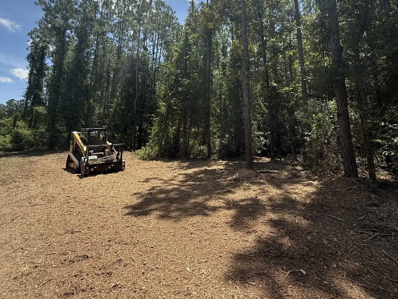 Compact track loader parked on freshly mulched ground after clearing a stand of Florida pines